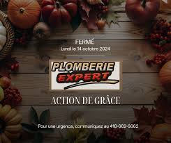 plombier expert