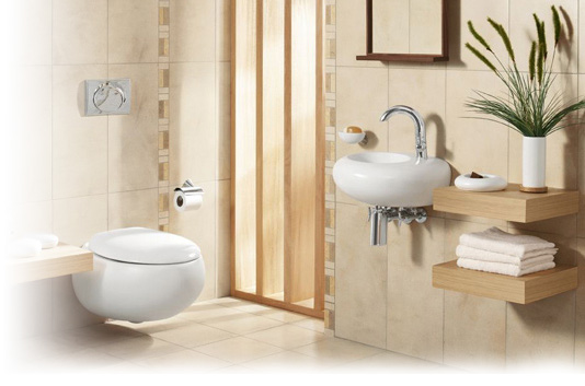 plomberie sanitaire wc