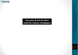 audit assurance